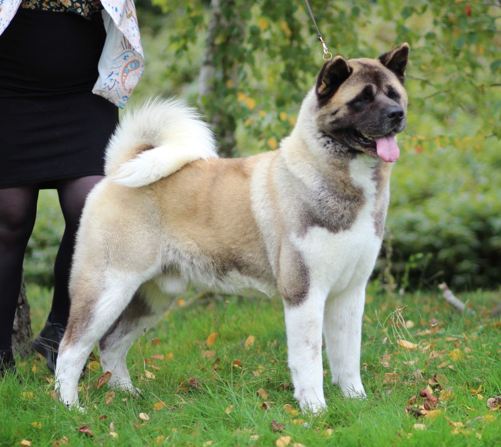 Jch so be it Des Gardiens De La Cigogne