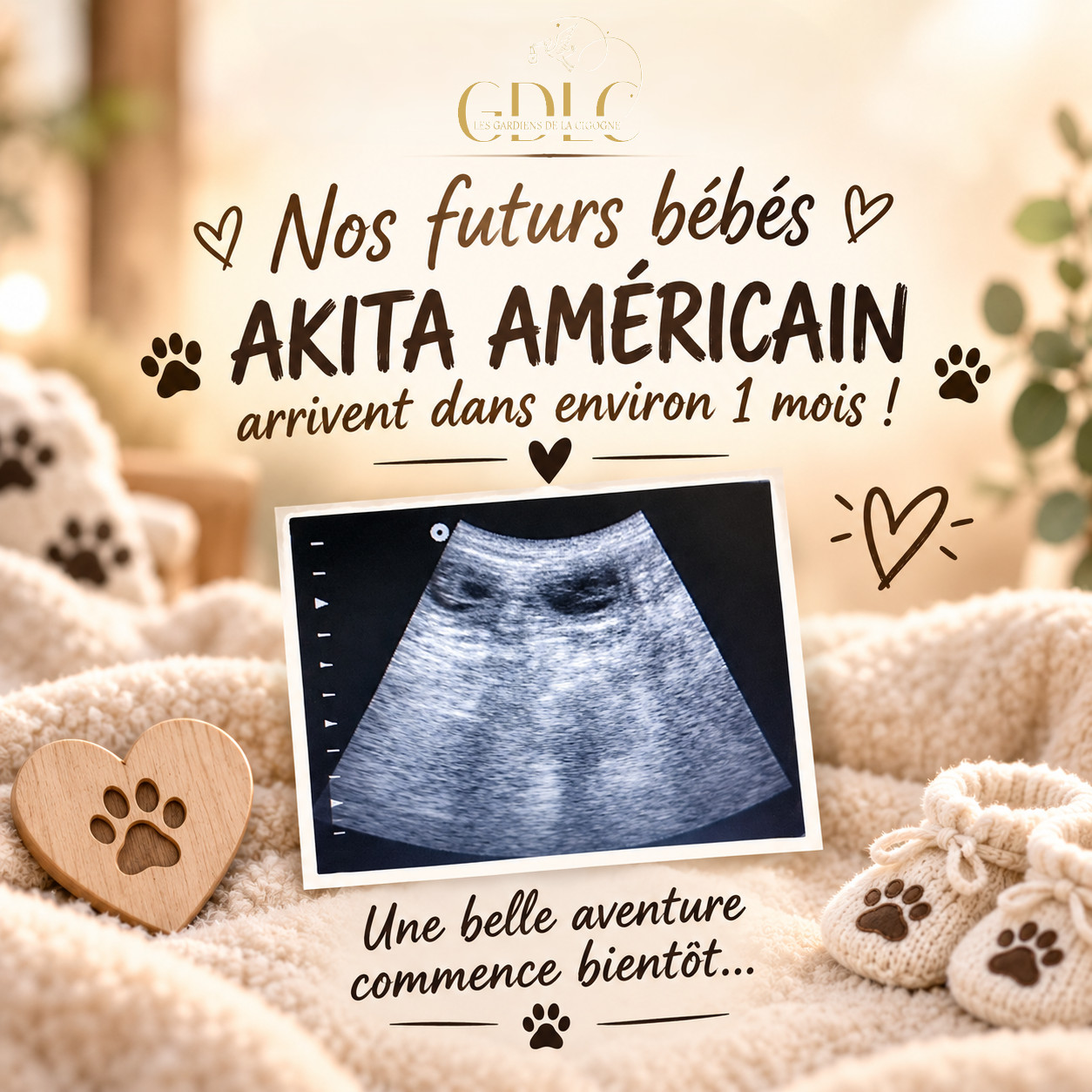 des bébés pour fin 2026 =)