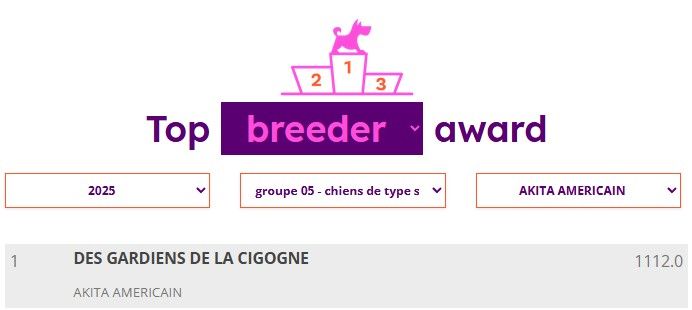 Actualité:  Une belle année 2025 pour la Team Cigogne ...!!