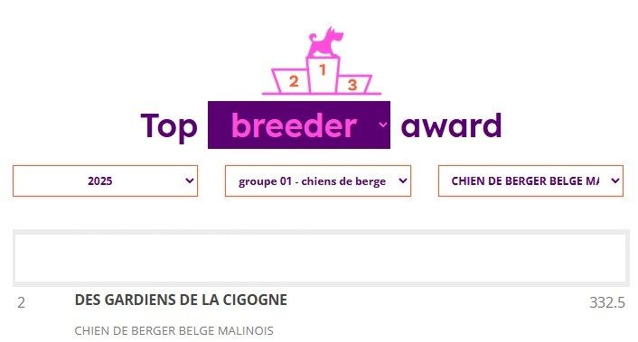 Actualité:  Une belle année 2025 pour la Team Cigogne ...!!